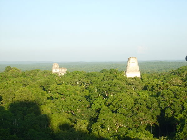 Tikal7