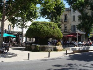 Moss fountain in Salon-de-Provence