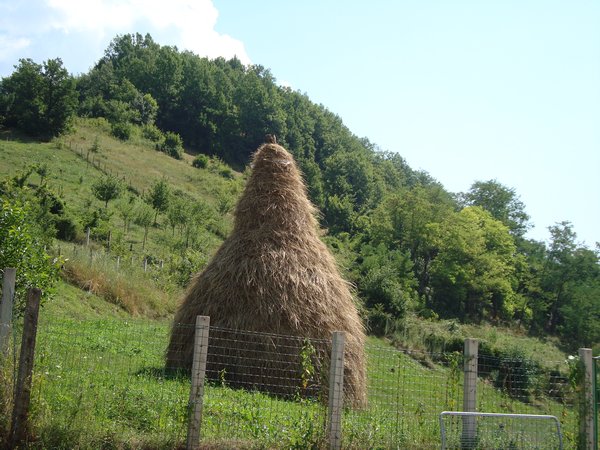 Typical Bosnian haystacks