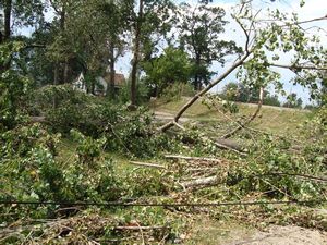 Storm damage in Cegled