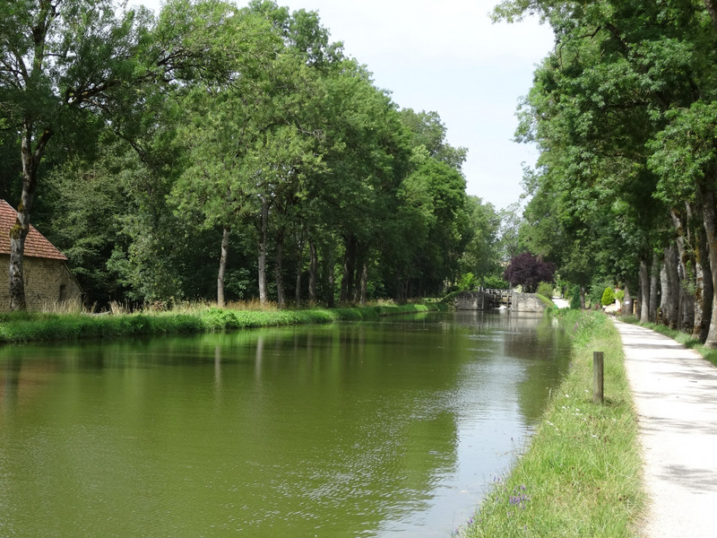 Canal de Bourgogne 