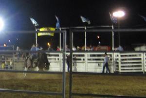 Rodeo!