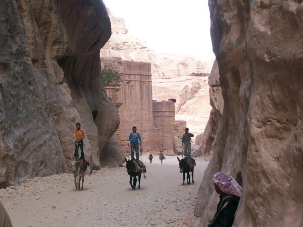 Kids selling donkey rides at Petra 