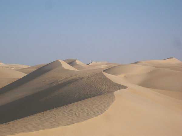 Dunes in the Western Desert