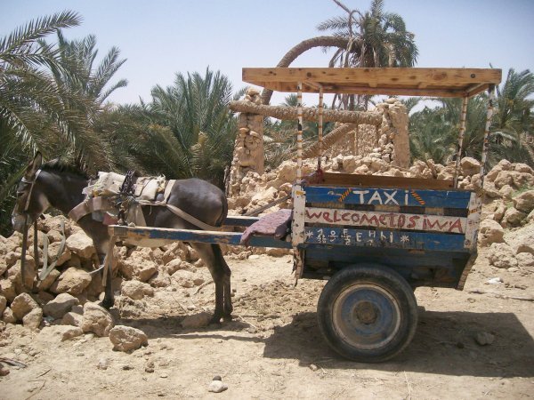 Taxi's in Siwa 