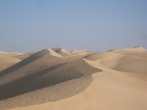 Dunes in the Western Desert