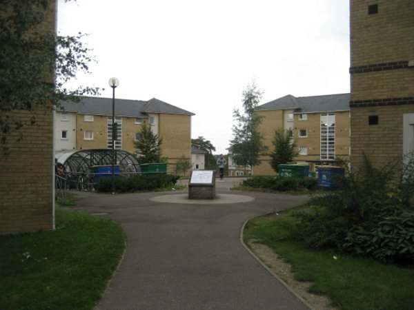 The University Village