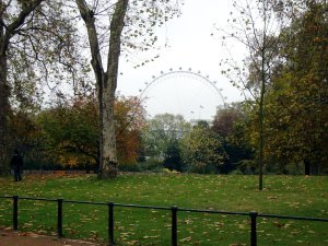 view of the London Eye from St. James Park