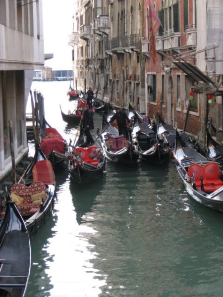fleet of gondolas