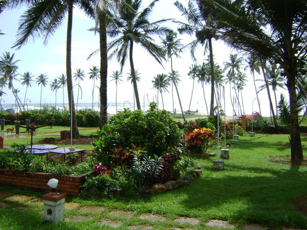 Hotel Garden