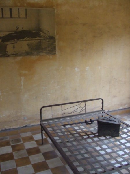 One of the cells