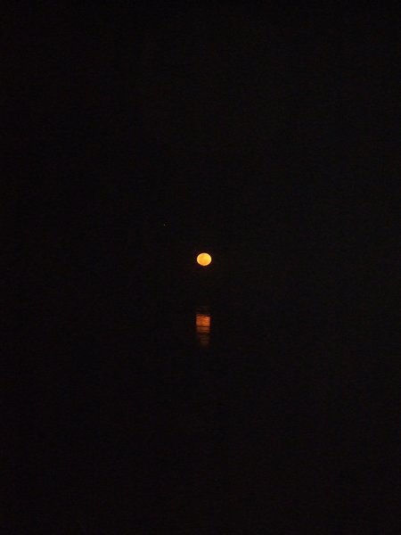 Attempt at photographing the moonrise