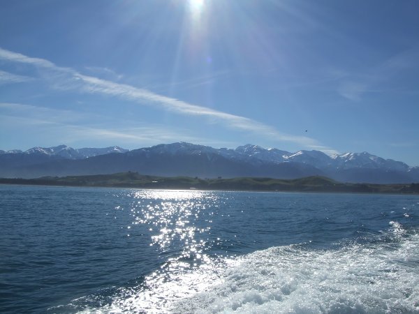 View from the boat