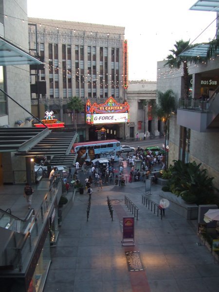 View of Hollywood Blvd