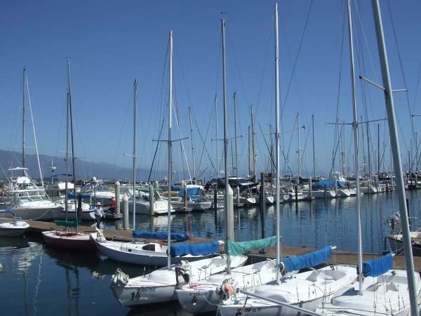 Santa Barbara harbour