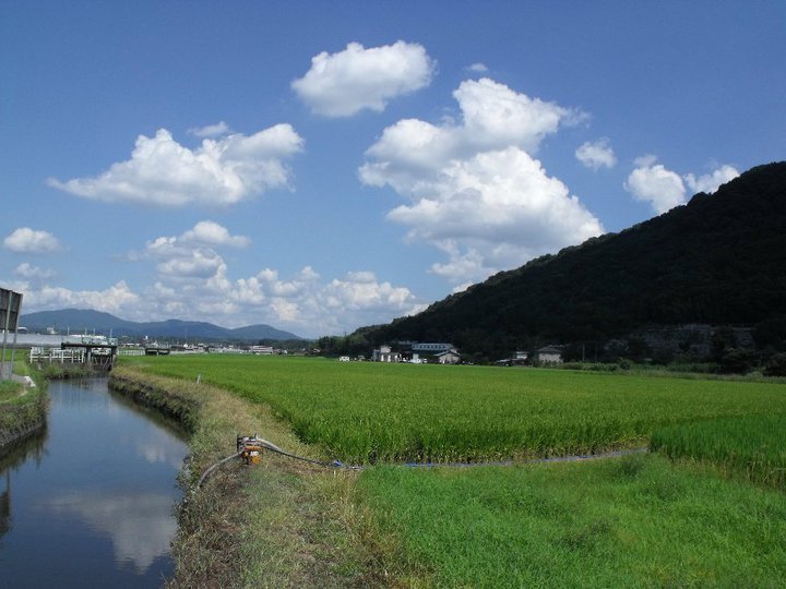 Kurashiki - cycle tour