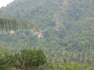 Chinese temple in the middle of the jungle