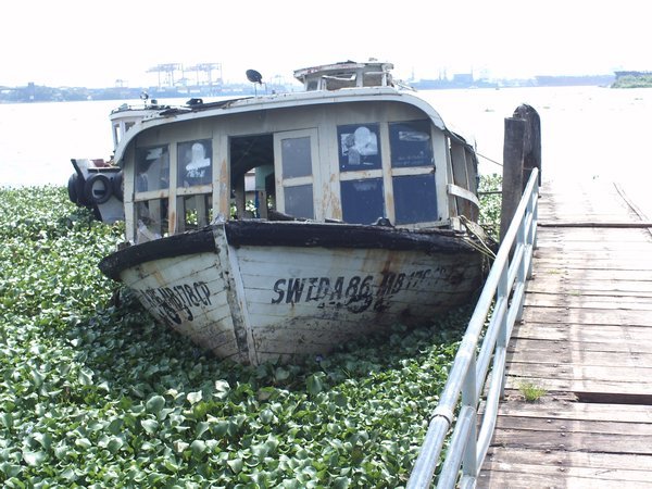 Kochi Boat