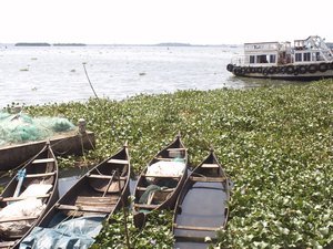 Kochi Canoes