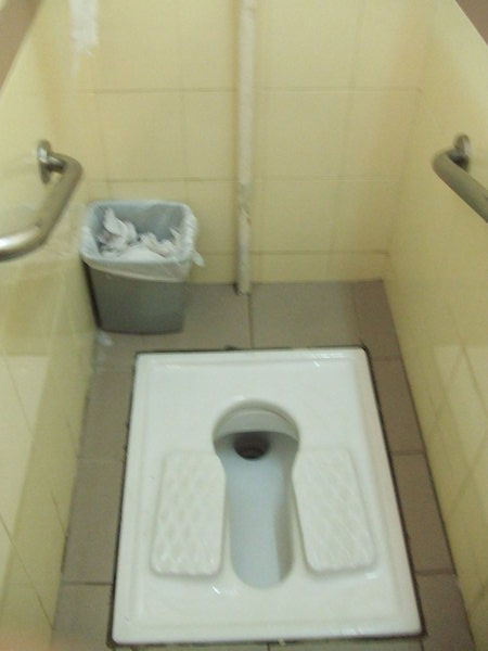 Nice toilet....NOT!!!