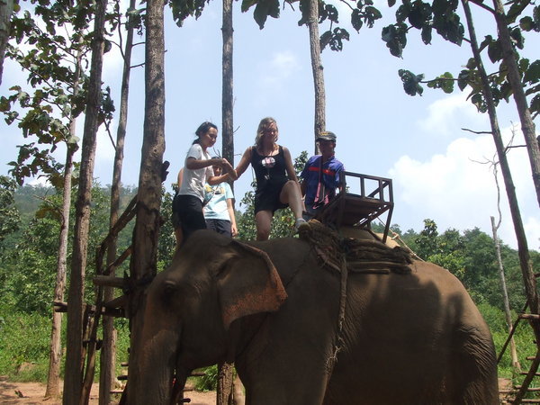 Getting on the Elephant!!