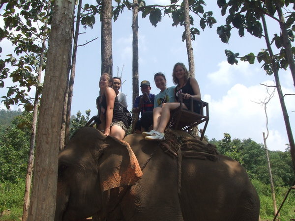 All of us on the Elephant