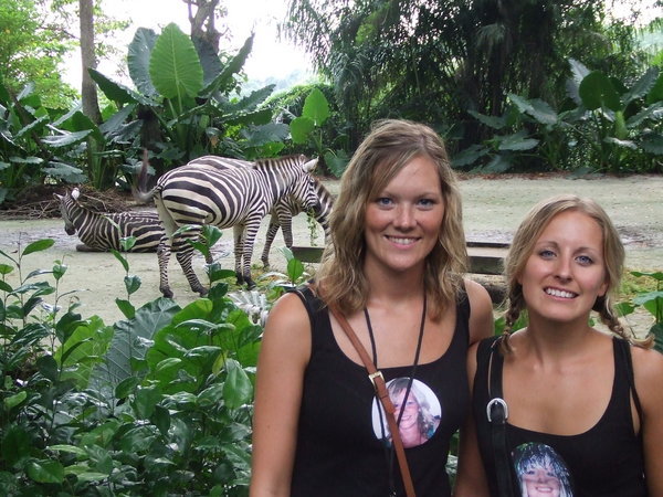 Zebra....Deborah...Same Difference!!!