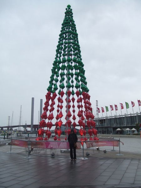 Christmas tree at the Docklands with a very wet me in front of it!!!