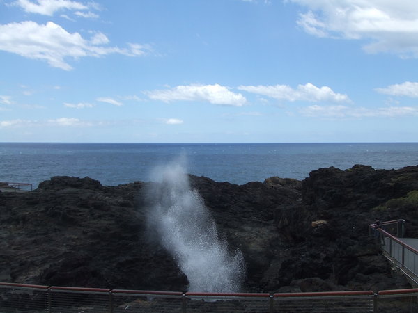 Blowhole...blowing water up!!!