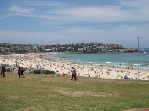 Bondi Beach on Boxing Day!! | Photo