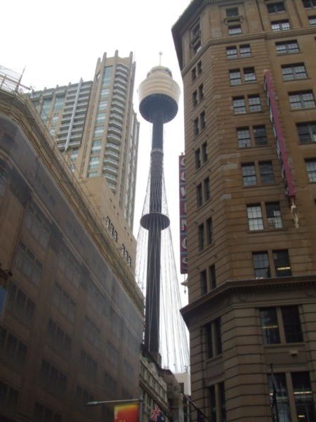 The tallest tower in Sydney!!