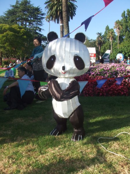 Kung Foo Panda!! Hi Yaaa!!!