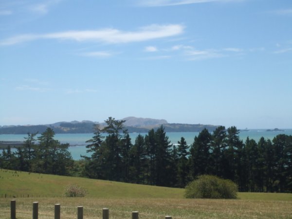 Viewpoint of Bay of Islands!!