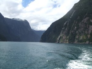 More of Milford Sound!!