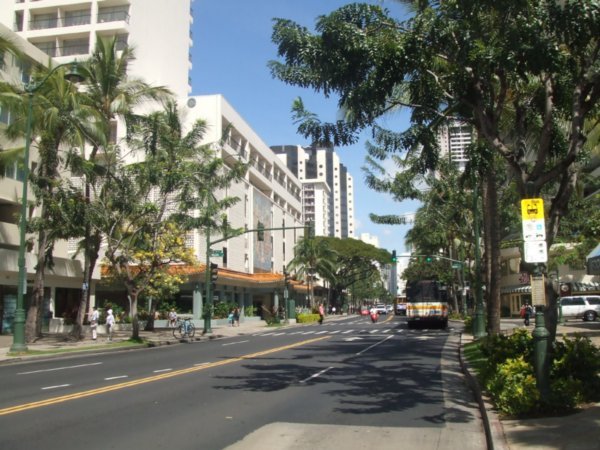 Waikiki Centre! Palm trees and sky scrapers!