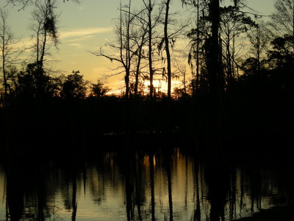Sunset swamp