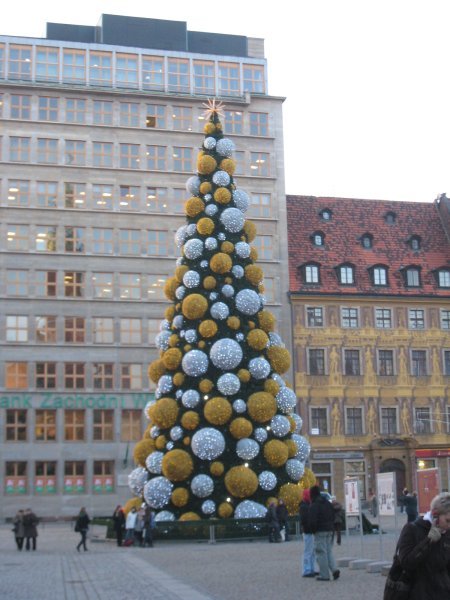 Xmas tree at Wroclaw xmas markets