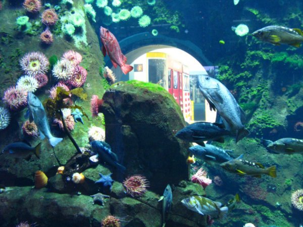 Aquarium in Vancouver