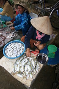 Market Fish