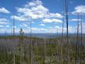 Grand Tetons in the distance