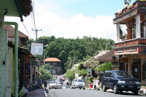 Moneky Forest Road, Ubud