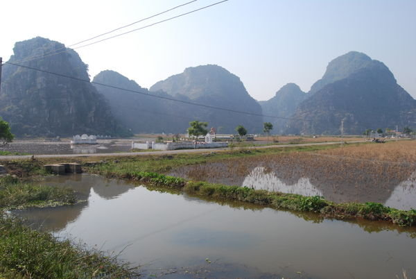 Rice paddies near Tam Coc
