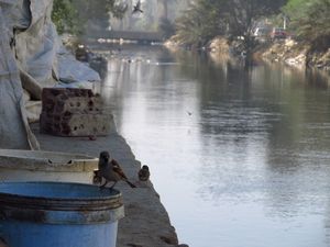 mini-Kanal Nilu