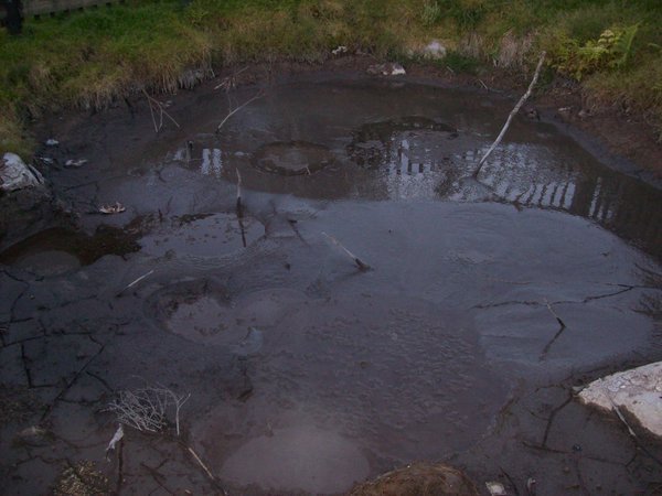 a mud pool