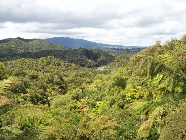 waimangu volcanic valley