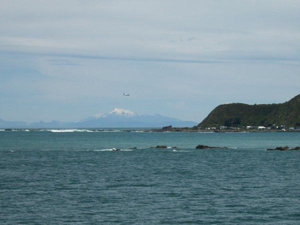 our first view of the south island.