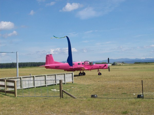 our pink sky dive plane