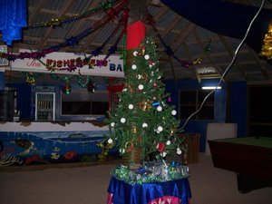 the Coral View Christmas tree