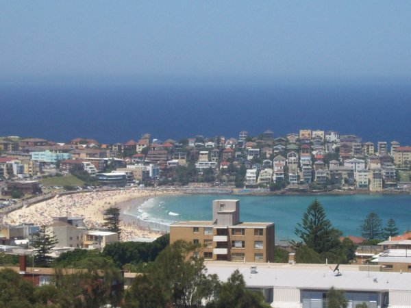 view from our appartment in bondi