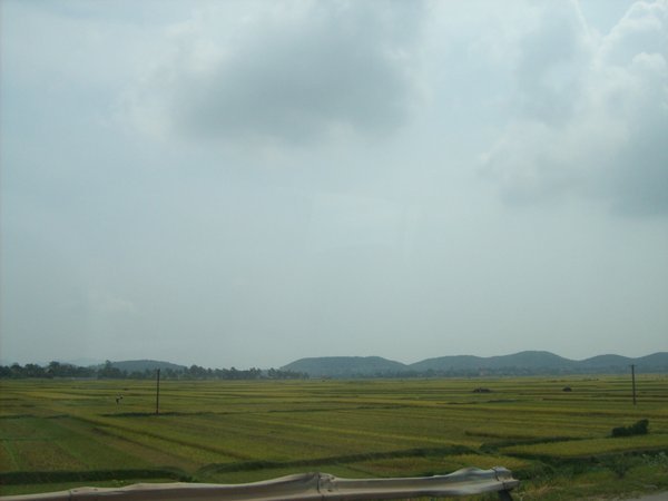 Vietnam Paddy fields.